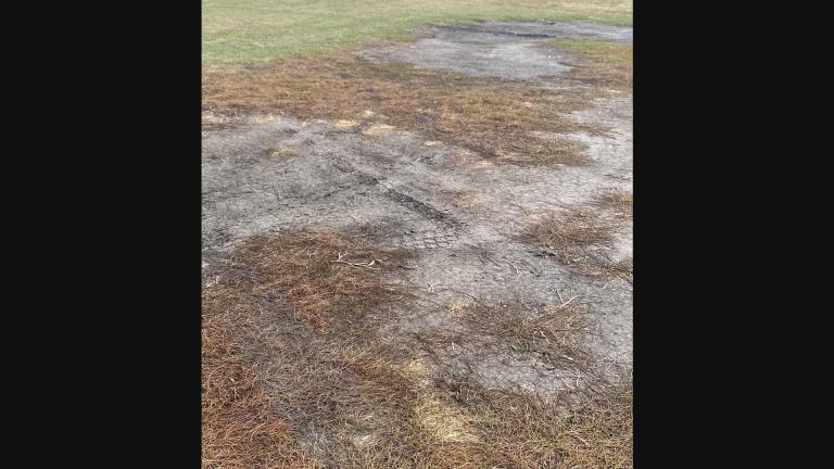 Damage to Douglass Park is pictured after Riot Fest in 2022. (Credit: Anton Adkins)