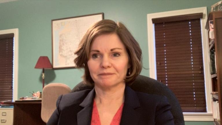 Dr. Susan Bleasdale appears on “Chicago Tonight” via Zoom on Tuesday, Feb. 16, 2021. (WTTW News)