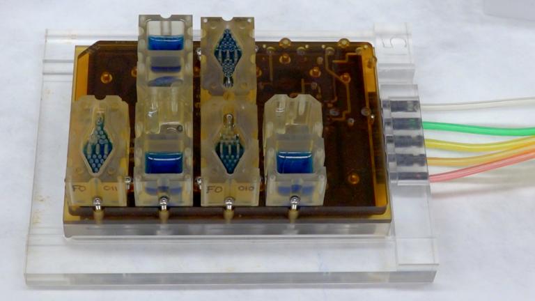 EVATAR is a female reproductive tract that fits in the palm of one’s hand. Each divided compartment within the cube contains a 3-D model of a different part of the reproductive tract, such as the ovaries, fallopian tubes, uterus, cervix, vagina and liver. The blue fluid pumps through each compartment and performs the function of blood. (Courtesy of Northwestern Medicine)