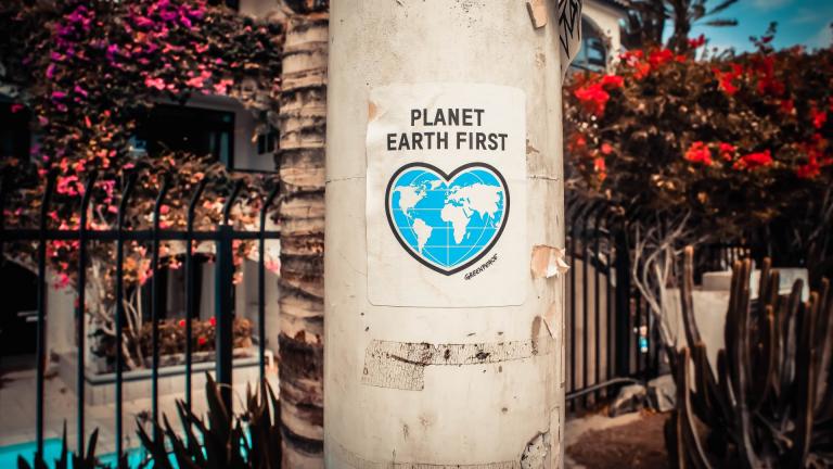 There are a number of ways for Chicagoans to take part in Earth Day. (Lauris Rozentals / Pexels)