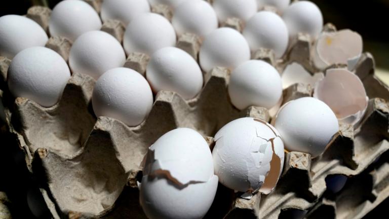 A carton of eggs sit on a counter in the kitchen inside of 5 Rabanitos restaurant in Chicago, Feb. 16, 2025. (AP Photo / Nam Y. Huh, File)