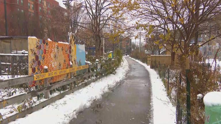 The El Paseo Trail in Pilsen on Nov. 21, 2024. (WTTW News)