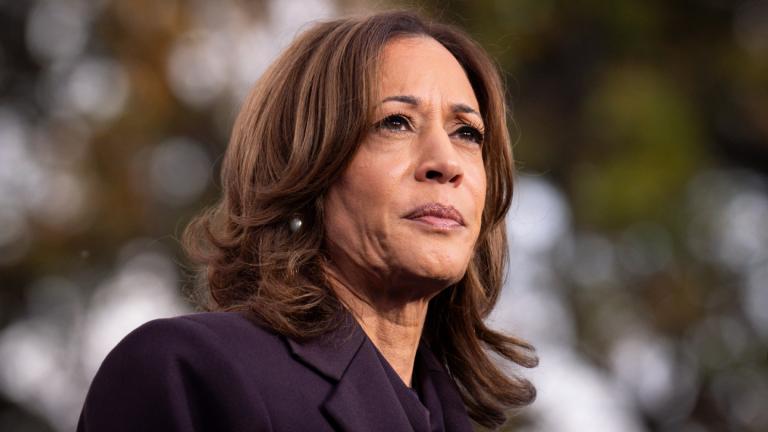Democratic presidential nominee Vice President Kamala Harris speaks in Washington, Nov. 6, 2024. (AP Photo / Jacquelyn Martin, File)