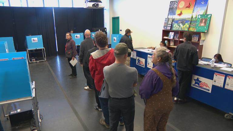 Chicago voters cast their ballots. (WTTW News)