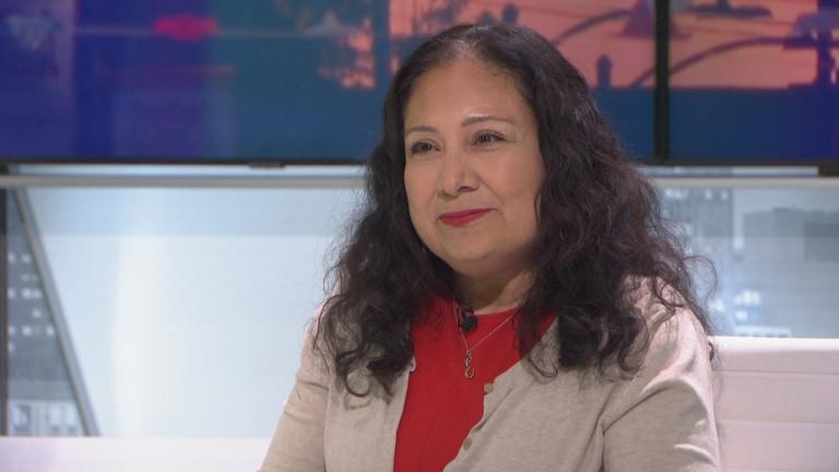 Elizabeth Alvarez appears on “Chicago Tonight: Latino Voices” on June 27, 2024. (WTTW News)