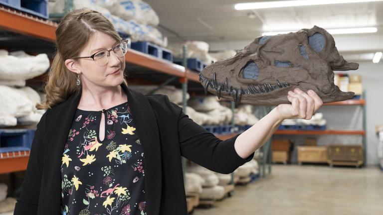 Emily Graslie at the Museum of the Rockies in Bozeman, Montana, for Episode 2 of “Prehistoric Road Trip.” (Credit: Julie Florio / WTTW)