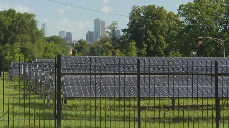 Solar panels linked to the Bronzeville Community Microgrid. (WTTW News)