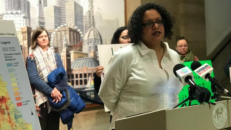 Kimberly Wasserman, executive director of the Little Village Environmental Justice Organization, speaks during a press conference Thursday in response to a new renewable energy plan unveiled by Mayor Rahm Emanuel. (Courtesy Little Village Environmental Justice Organization)