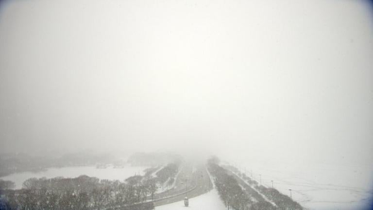 A view looking north from the Field Museum in Chicago captured at 8:25 a.m. Jan. 23, 2022, by a National Weather Service camera. (Courtesy of National Weather Service.) 