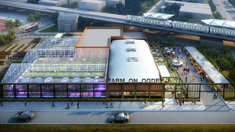 A graphic rendering of the soon-to-be completed Farm on Ogden, which opens June 22. (Courtesy Chicago Botanic Garden)