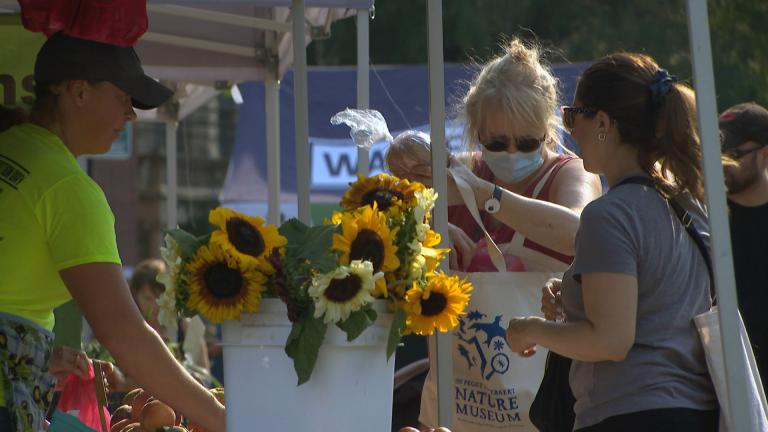 The Lincoln Square Farmers Market is one of Chicago’s many street markets that have had to adapt to new health safety protocols in response to COVID-19. (WTTW News)