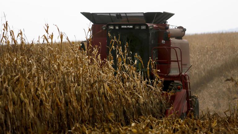 In this Dec. 4, 2017, file photo, a farmer harvests crops near Sinsinawa Mound in Wisconsin. (Eileen Meslar / Telegraph Herald via AP, File)