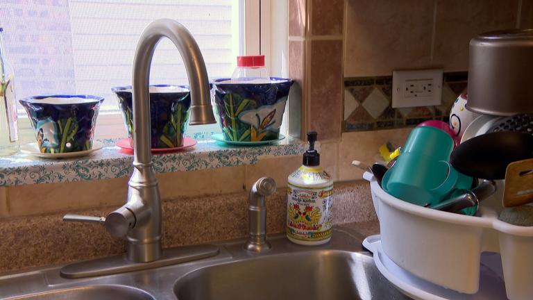 A report from WBEZ reveals that homeowners collectively owe up to $421 million in debt, and that includes penalty fees and water taxes. 60% of those homeowners make up the city’s majority-Black ZIP codes.  (WTTW News)
