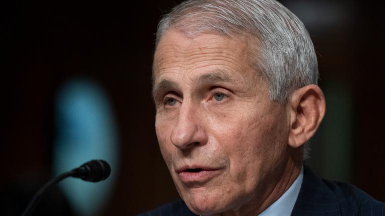 Dr. Anthony Fauci, director of the National Institute of Allergy and Infectious Diseases, speaks during a Senate Health, Education, Labor, and Pensions Committee hearing on Capitol Hill, Nov. 4, 2021, in Washington. (AP Photo / Alex Brandon, File)