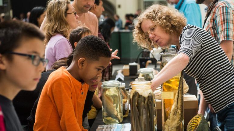 Field Museum ichthyologist Susan Mochel talks with visitors at the museum's ID Day in 2017. (Courtesy Field Museum)