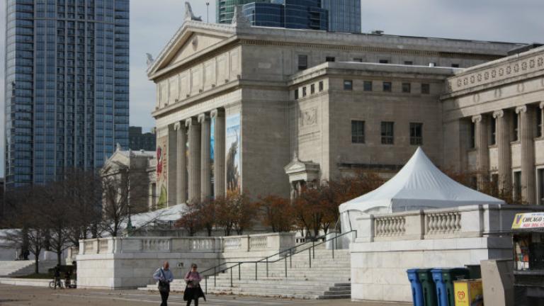 The Chicago Field Museum (Chloe Riley)