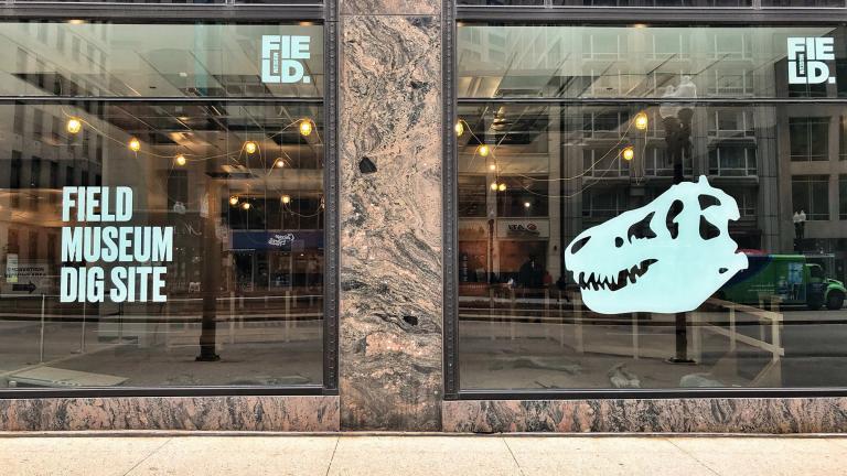 The Field Museum’s new pop-up “Dig Site” (333 N. Michigan Ave.) aims to replicate a location where paleontologists might search for fossils. (Courtesy The Field Museum)