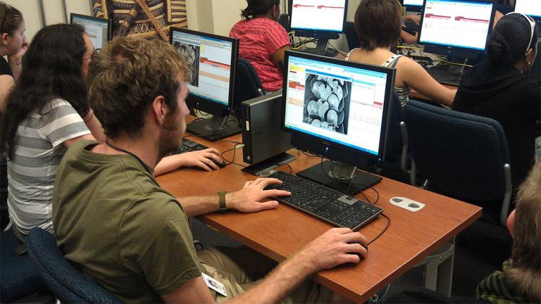 More than 11,000 people worldwide studied digital images of the liverwort plant as part of a Field Museum-led study that linked research professionals with citizen scientists. (Courtesy Field Museum)