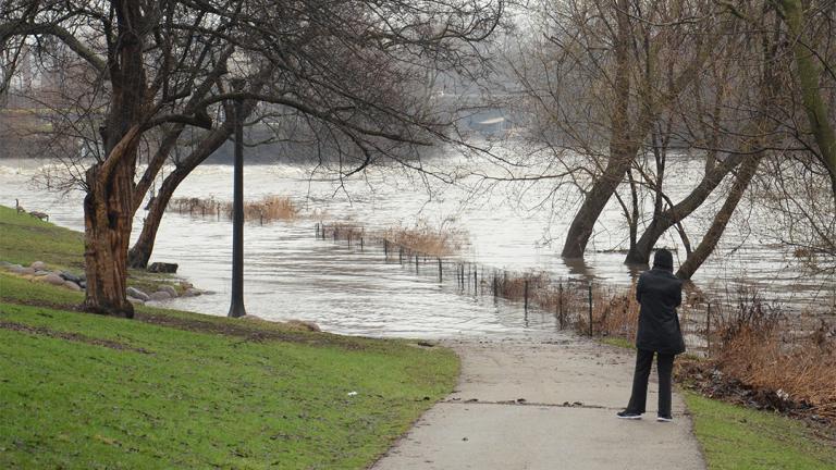 Flooding in Albany Park in April 2013 (Center for Neighborhood Technology / Flickr)