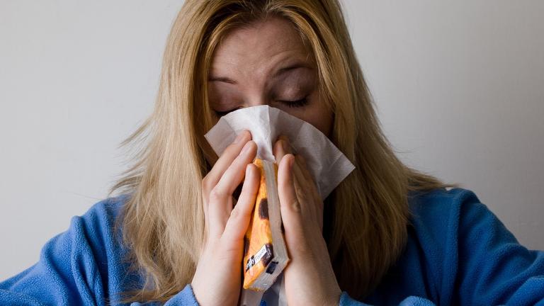 A new study by researchers at the University of Chicago analyzes the geographical origins of the seasonal flu.