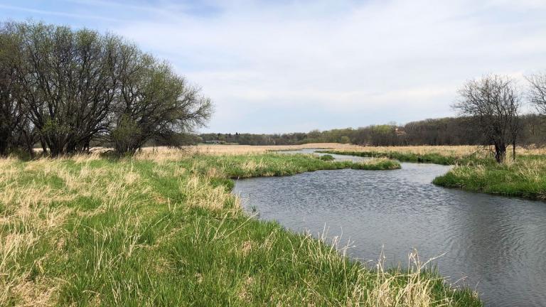 Wildlife in Distress - Forest Preserves of Cook County