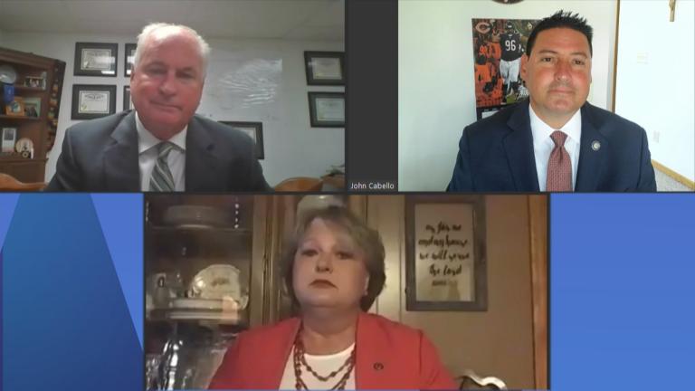 Clockwise, from left: State Reps. Dan Brady, John Cabello and Terri Bryant appear on “Chicago Tonight” via Zoom on Wednesday, Aug. 26, 2020. (WTTW News)