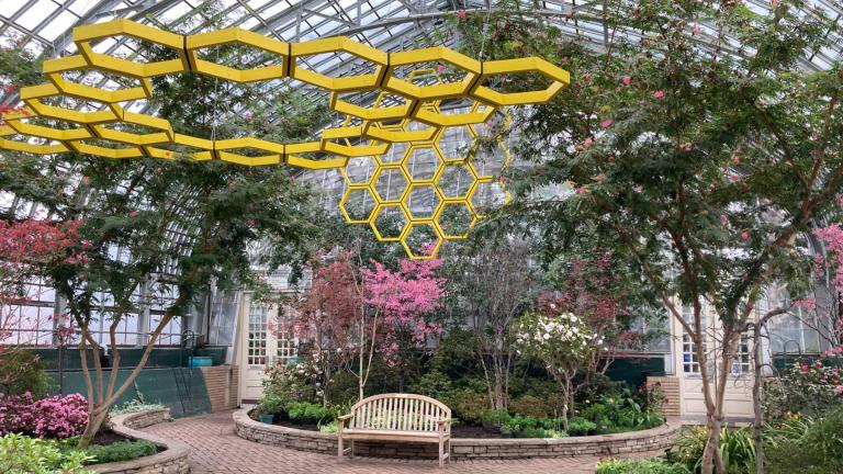 Part of the "Bees Knees" exhibit at Garfield Park Conservatory. (Chicago Park District)