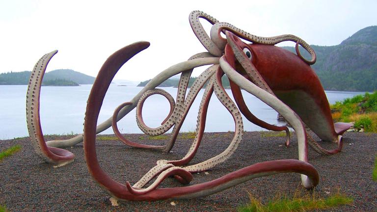 A model of a giant squid in Glover’s Harbour, Newfoundland. (Robert Hiscock / Flickr)