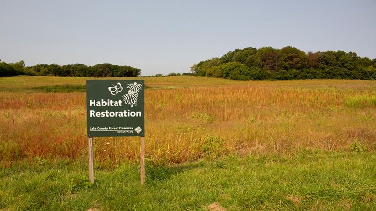 Former farmland within the Grant Woods Forest Preserve will become a demonstration site for climate-adapted seeds. (Courtesy of Lake County Forest Preserves)