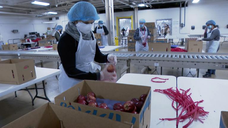 Volunteers at the Greater Chicago Food Depository. (WTTW News)