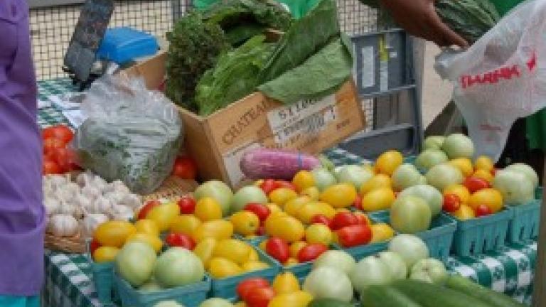 Local vegetables, courtesy of Growing Home.