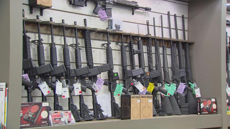 Guns are pictured in a file photo. (WTTW News)