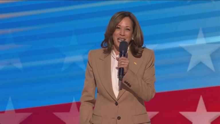 Vice President Kamala Harris speaks at the DNC in Chicago on Aug. 19, 2024. (WTTW News)
