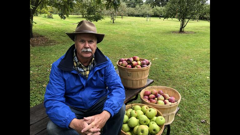 Al Westerman with three of the 124 apple varieties growing in his orchard. (Jay Shefsky / Chicago Tonight)