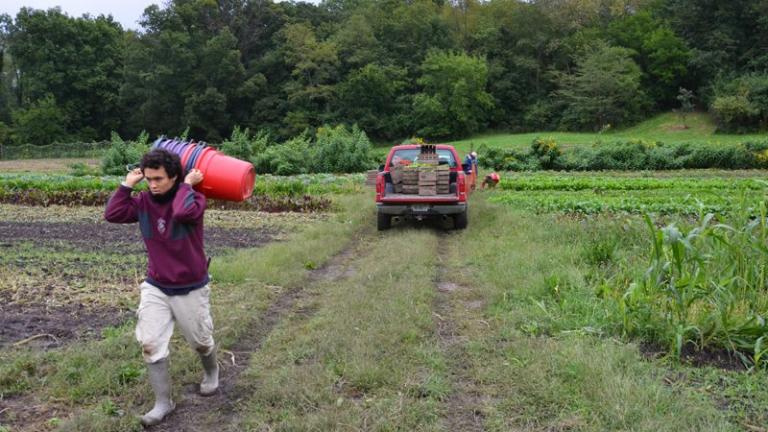 A scene from the documentary “Seasons of Change on Henry’s Farm.” (Seasons of Change on Henry’s Farm / Facebook)