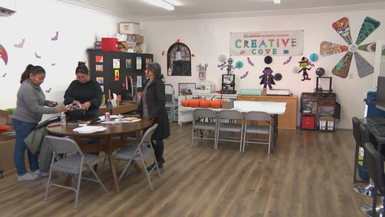 Hermosa Neighborhood Association. (WTTW News)