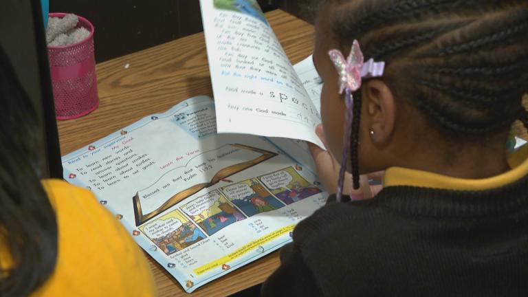 A file photo of a child in a homeschool setting. (WTTW News)