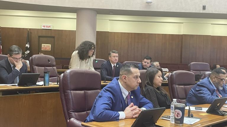 Ald. Rossana Rodriguez Sanchez (33rd Ward) urges her colleagues to call for a cease-fire in the Israel-Hamas war in Gaza during a Chicago City Council meeting on Jan. 31, 2024. (Heather Cherone / WTTW News)