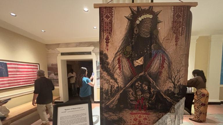 “Mother of Beginnings” by Hama Hinnawi is pictured at “Voices Through Art” on Aug. 20, 2026, at the Chicago History Museum. (Shelby Hawkins / WTTW News)