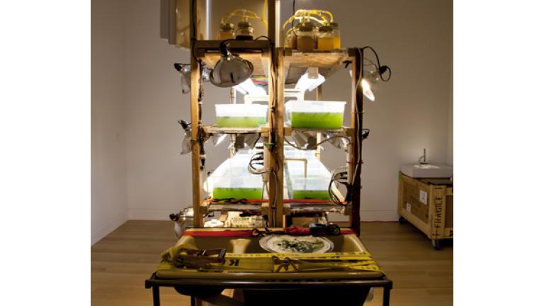 "Algal Biodiesel Processing Station III" by Marissa Lee Benedict; courtesy of DePaul Art Museum