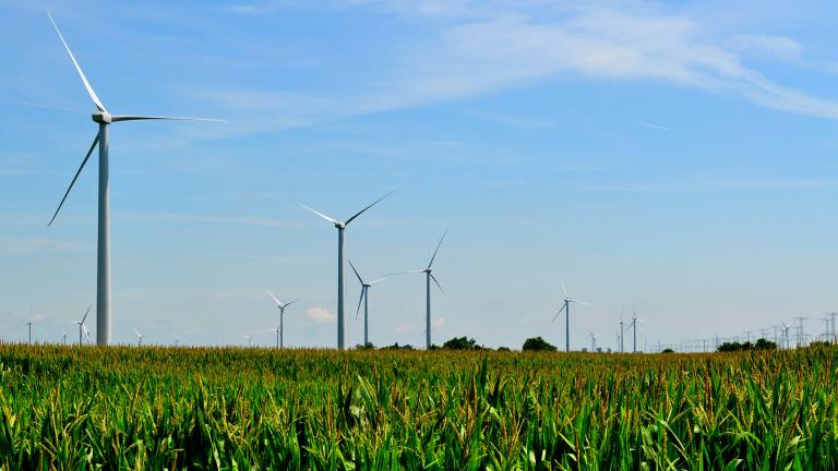 Wind turbines at the Mendota Hills Wind Farm in Steward, Illinois. (Tom Shockey / Flickr)