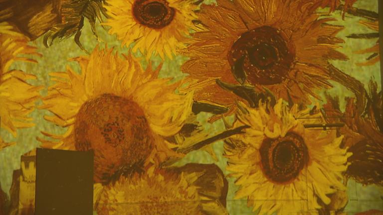 Inside the “Immersive Van Gogh” exhibit in Chicago. (WTTW News) Inside the “Immersive Van Gogh” exhibit in Chicago. (WTTW News)