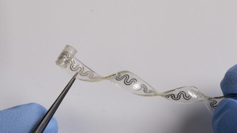 Researchers at Northwestern University have developed a small and flexible implant, pictured here, that can relieve pain without drugs. (Credit: Northwestern University)