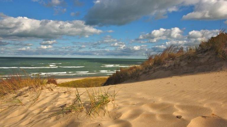 Indiana Dunes