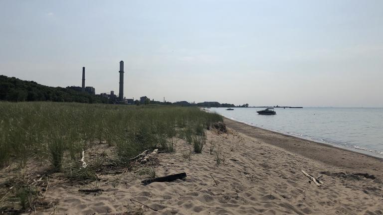 Indiana Dunes National Park, with various industrial plants in the background, in 2019. (Patty Wetli / WTTW News)