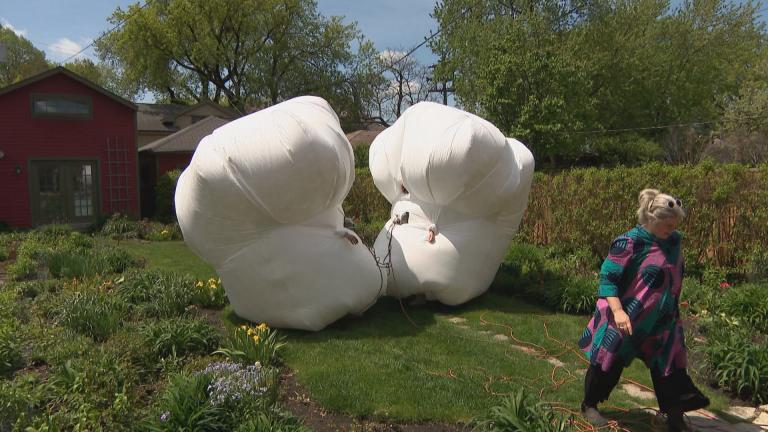 (WTTW News) (WTTW News)