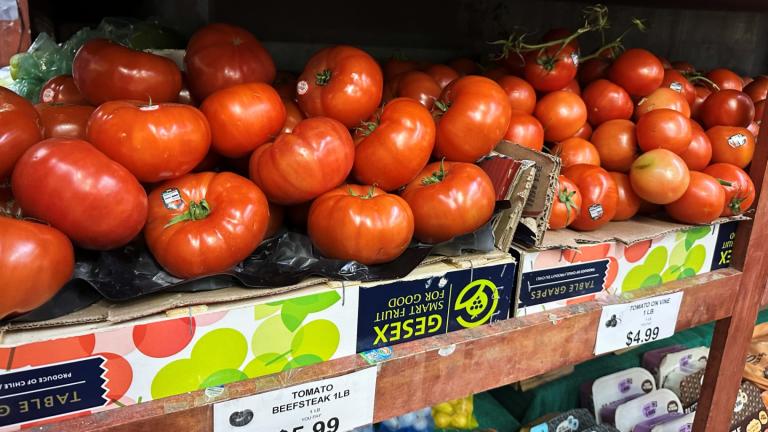 Tomatoes await customers on the shelves of a supermarket in New York on Tuesday, May 26, 2026. (AP Photo / Matt Sedensky)
