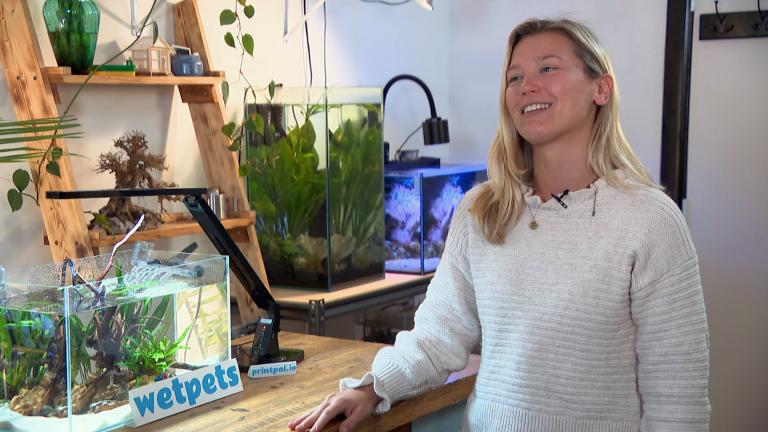 In 2015 Jamie Dalton started Aquarium Info, a blog to share information and tips to help others to start building their fish tanks. During the pandemic she decided to go a little further and transformed her second bedroom into a full functioning fish studio. (WTTW News)