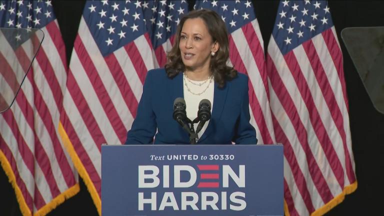 “America is crying out for leadership,” Sen. Kamala Harris said during her first press conference as Joe Biden’s running mate on Wednesday, Aug. 12, 2020. (WTTW News via CNN)