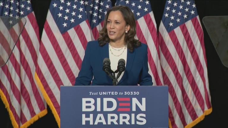 “America is crying out for leadership,” Sen. Kamala Harris said during her first press conference as Joe Biden’s running mate on Wednesday, Aug. 12, 2020. (WTTW News via CNN) “America is crying out for leadership,” Sen. Kamala Harris said during her first press conference as Joe Biden’s running mate on Wednesday, Aug. 12, 2020. (WTTW News via CNN)